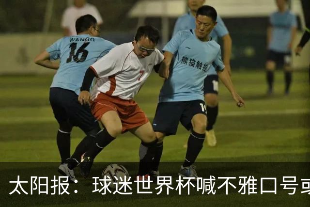 太阳报：球迷世界杯喊不雅口号或说脏话可能会被驱逐出场