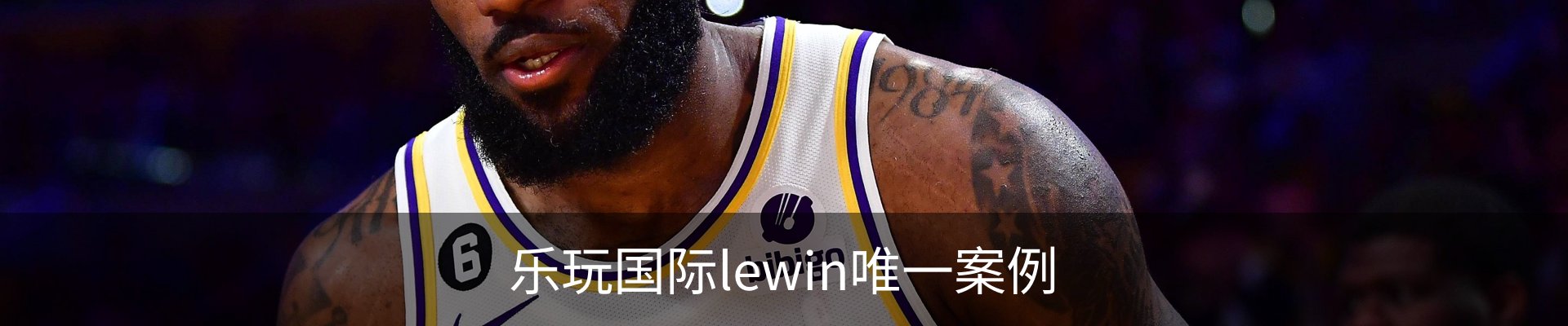 乐玩国际lewin唯一案例